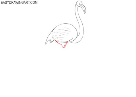 Flamingo Head Drawing