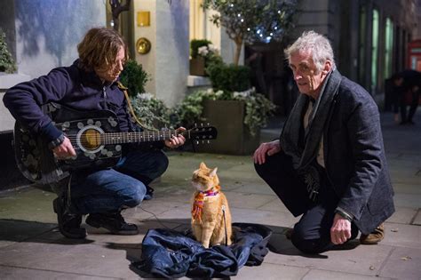 A Street Cat Named Bob Film Review I Defy Anyone To Leave In A Bad