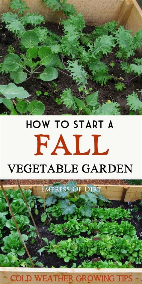 6 Tips For Growing Winter Veggies Vegetable Garden For