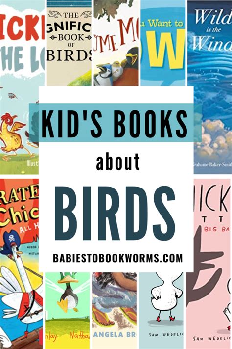Bird Books For Kids Bird Picture Books Babies To Bookworms