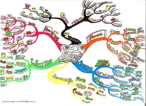 Mind Maps For Studying Examples Printable Templates