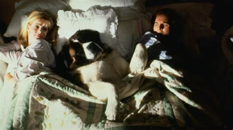 10 Great Movies About Dogs That You Should Watch