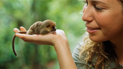 Small Wonder What Are The Worlds Tiniest Animals