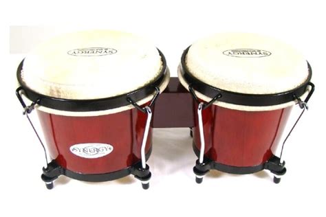 The Best Bongos In 2022 Review By Bestcovery
