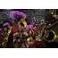 Photo Gallery 2020 Carnival In Brazil  Multimedia Dailytimescom