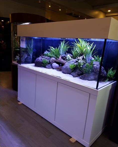 If you go to a pet shop you will find hundreds of exotic fishes that are under 1.5 inches long and that can easily be kept in a 1 gallon tank. 200 Gallon FISH TANK | Home Interior Exterior Decor ...