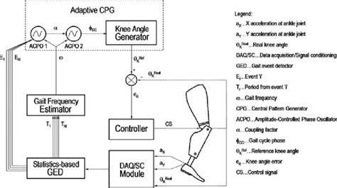 Control Scheme Of The Knee Prosthesis Showing The Acpos Based Cpg Download Scientific Diagram