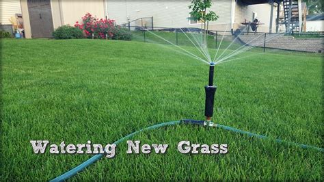 Don't water in the live in georgia and every person i speak to give me a different answer on how to maintain the grass here and keep it green! How To Water New Grass Seed - Above Ground Sprinkler - Fall Lawn Renovation and Overseeding Step ...