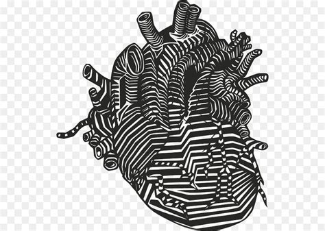 35 Latest Transparent Background Human Heart Vector Png Salscribblings