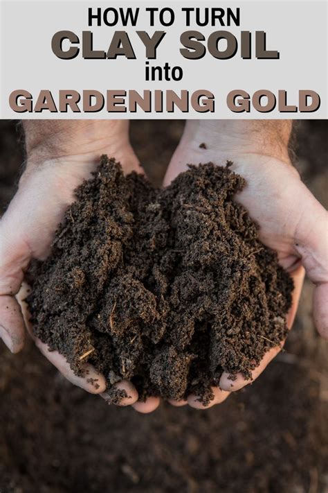 How To Turn Clay Soil Into Gardening Gold Soil Garden Soil Clay Soil