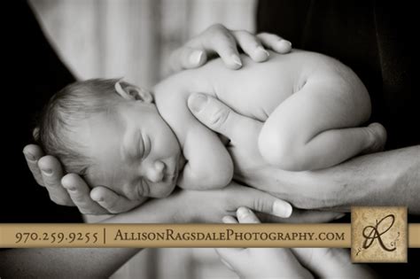 Durango Newborn Photographer