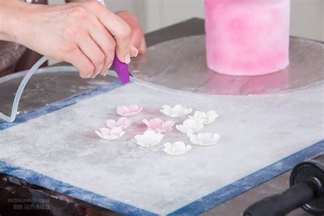 Ich kann euch auch noch soviel verraten, dass der kuchen nach dem backen und füllen am schluss, als dann alles fertig war, ein bisschen anderes aussah, wie das original. Sallys Rezepte - Tauftorte mit rosa Blütenverlauf ...