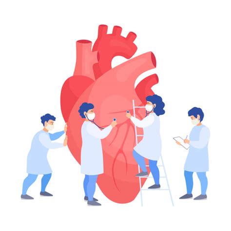 Image Of Human Heart Illustrations Royalty Free Vector Graphics And Clip