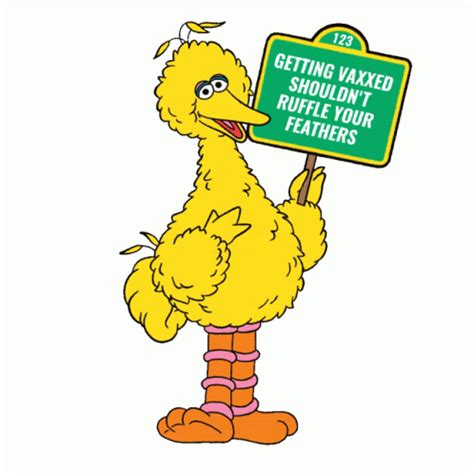 Big Bird Grover Sticker Big Bird Grover Sesame Street Discover