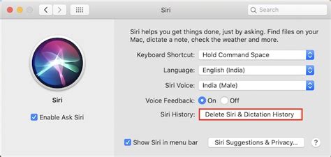 How To Delete Siri And Dictation History In MacOS Catalina Beebom