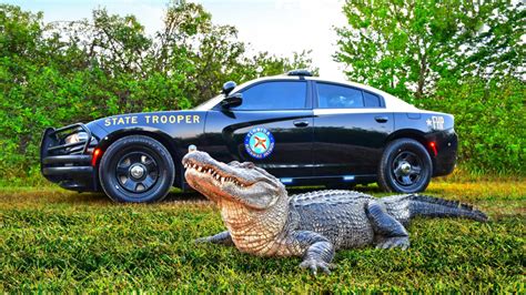 It's official: Florida Highway Patrol has the 'best looking cruiser' in