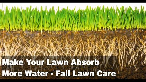 There is really no set schedule to watering your lawn in fall and winter. How to Make your Lawn Absorb More Water - Fall Lawn Care - YouTube