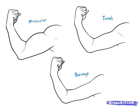 How To Draw A Muscle Step 3 1 000000050697 5 1035794 Art