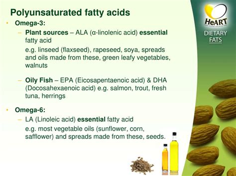Ppt Dietary Fats Powerpoint Presentation Free Download Id5730225