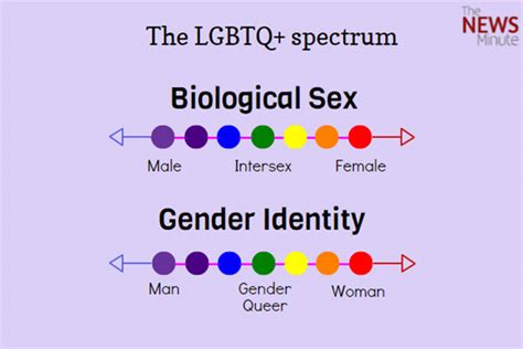 Understanding Lgbtq An Exhaustive Explainer On Gender And Sexual