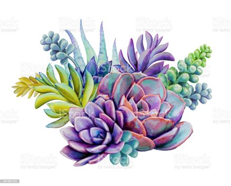 See more ideas about cactus, cactus flower, cacti and succulents. Watercolor Succulent Plants Composition Floral Bouquet ...