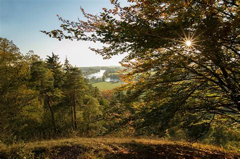 Images Rays Of Light Bavaria Germany Autumn Nature Trees