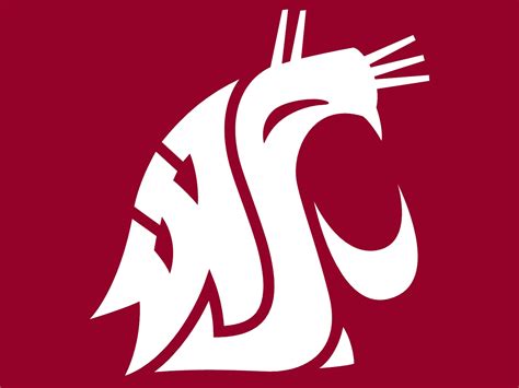 Washington State University Cougars Did You Ever Notice That The