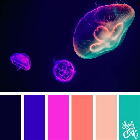25 Color Palettes Inspired By Ocean Life And Pantone Living Coral Artofit