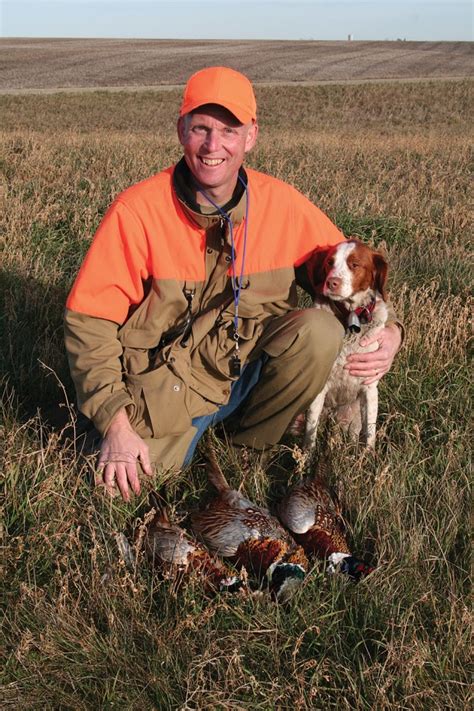 Best Tips For Pheasant Hunting With Dogs Game And Fish