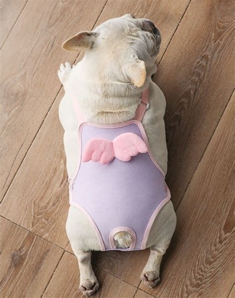 Dog Period Sanitary Pants Female French Bulldog Sanitary Panties