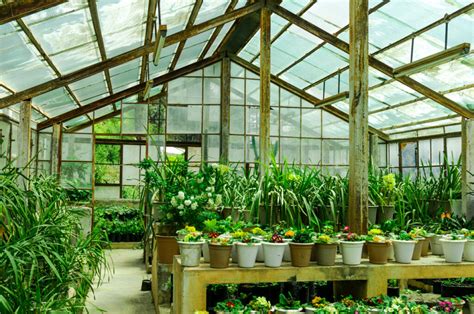 The Amazing Benefits Of Owning A Greenhouse Wow Decor