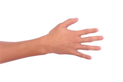 Flat Hand Png