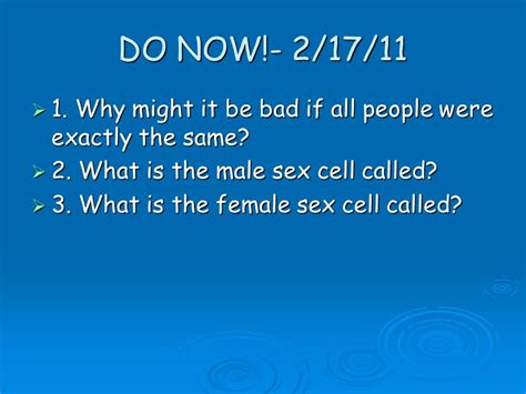 Do Now 21611 1 Write Down One Question You Have About The Reproductive System Male Female