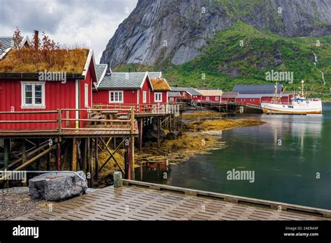 Red Houses Of Reine Fishing Village Is Located On The Island Of