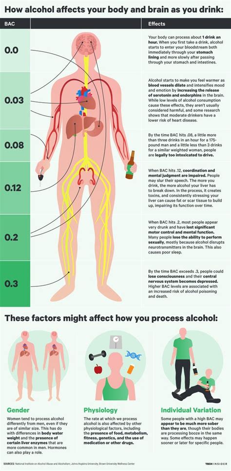 How Alcohol Affects Your Body And Brain As You Drink