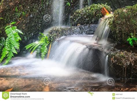 Waterfall And Rocks Covered With Moss Stock Image Image Of Water