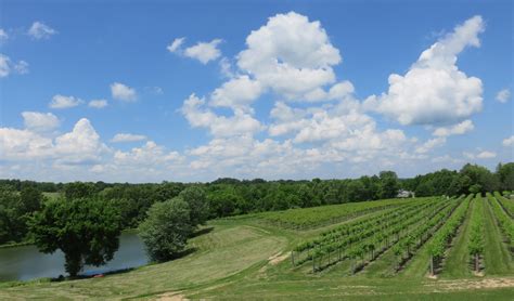 New Guide To Illinois Wines And Wineries Midwest Wine Press