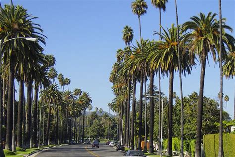 Visit Unique Neighborhoods In Beverly Hills Love Beverly Hills
