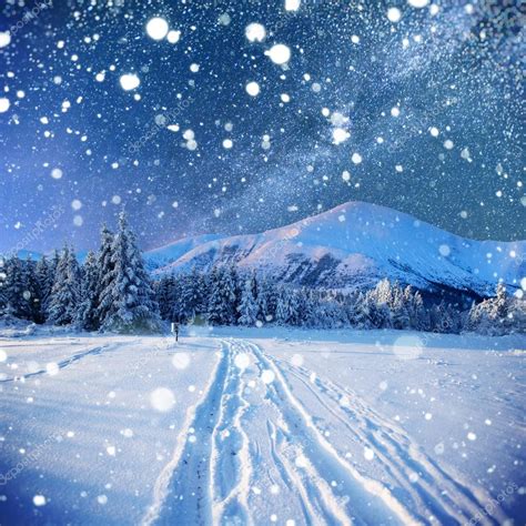 Starry Sky In Winter Snowy Night Winter Background With Some So
