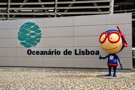 Oceanário De Lisboa Europes Largest Aquarium We Heart Lisbon