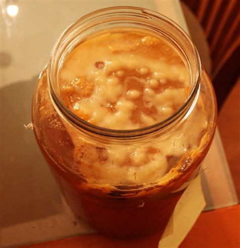 If you are new to brewing kombucha, please read the how to start guide. Kombucha SCOBY Brewing Problems: What Not to Do | Kombucha ...