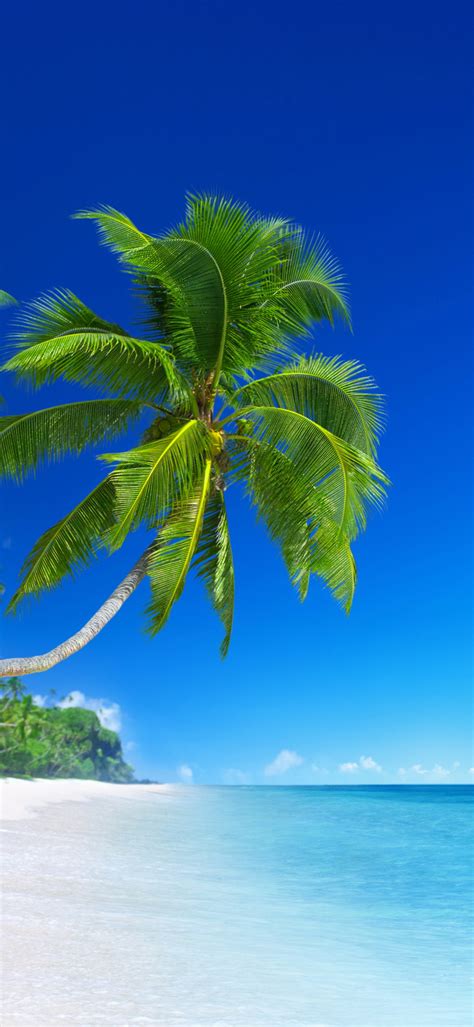 Looking for the best tropical wallpaper? Beach Wallpapers for Phone with Picture of Beautiful ...