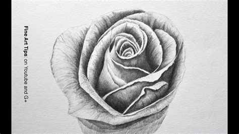 Drawing A Rose With Pencil Time Lapse Youtube