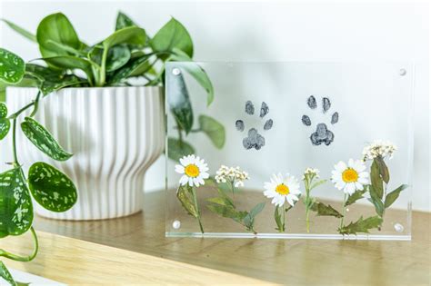 Memorial Items | Paws Into Grace