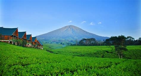 Gunung Dempo Pagar Alam Yang Indah Berikut 6 Informasi Wisata Gunung