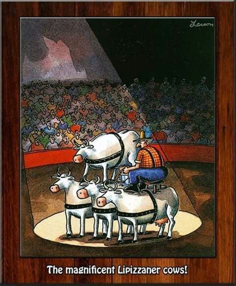 The Far Side By Gary Larson Far Side Cartoons Cows Funny Gary
