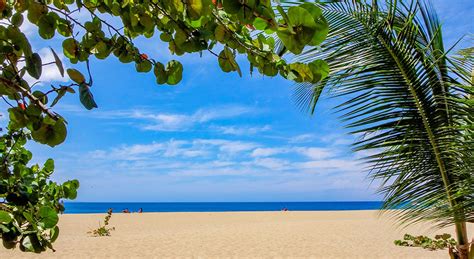 Las Mejores Playas Del Caribe Para Que Disfrutes De Vacaciones