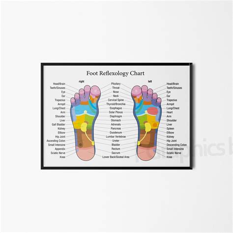 Foot Reflexology Mapfoot Chart Print Labelled Medial Lateral Foot Chart Holistic Poster Wall