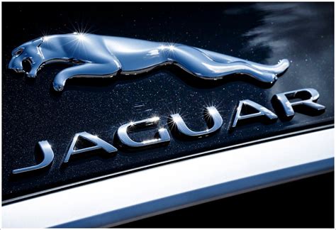 Jaguar Logo Meaning And History Jaguar Symbol