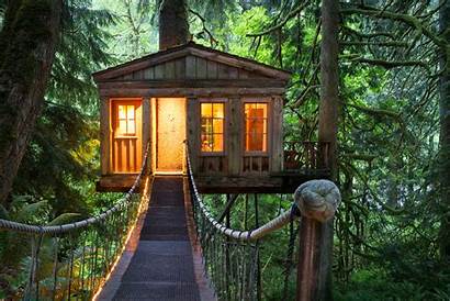 Tree Treehouse Wallpapers Cabin Log Houses Rent